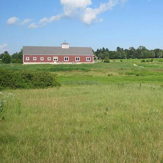 A row of houses